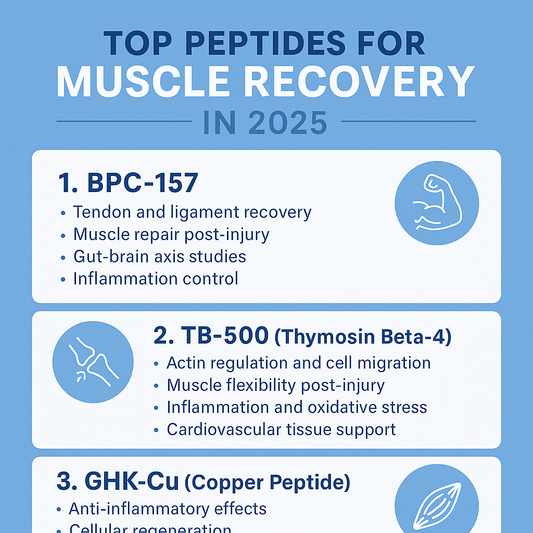 Infographic listing the top peptides for muscle recovery in 2025, including BPC-157, TB-500, and GHK-Cu, with icons and bullet points summarizing each peptide's research benefits.